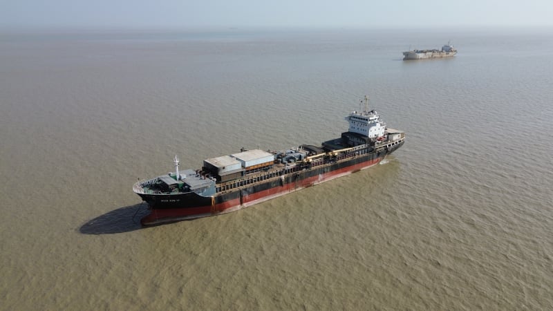 Guinea-Bissau Bans Fish Meal to Protect Ocean Life