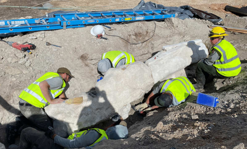 First Dinosaur Dig in 100 Years Strikes Gold in Utah