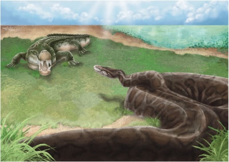Giant Python Fossils Found in Taiwan After 400,000 Years - Image 3