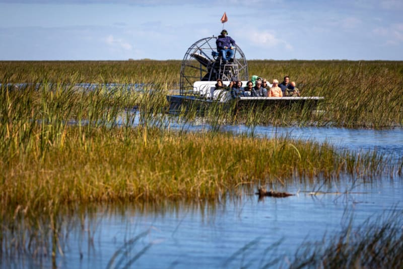25-Year Quest: How Florida is Reimagining Water's Future in the Everglades