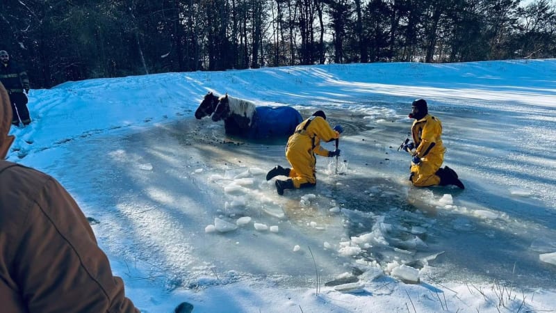 Missouri Firefighters Save Two Horses From Frozen Pond