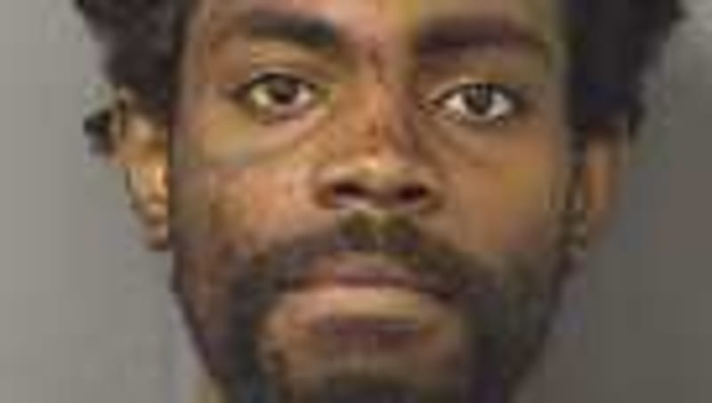Paramedic Neighbor Chases Burglar, Saves Injured Man - Image 5