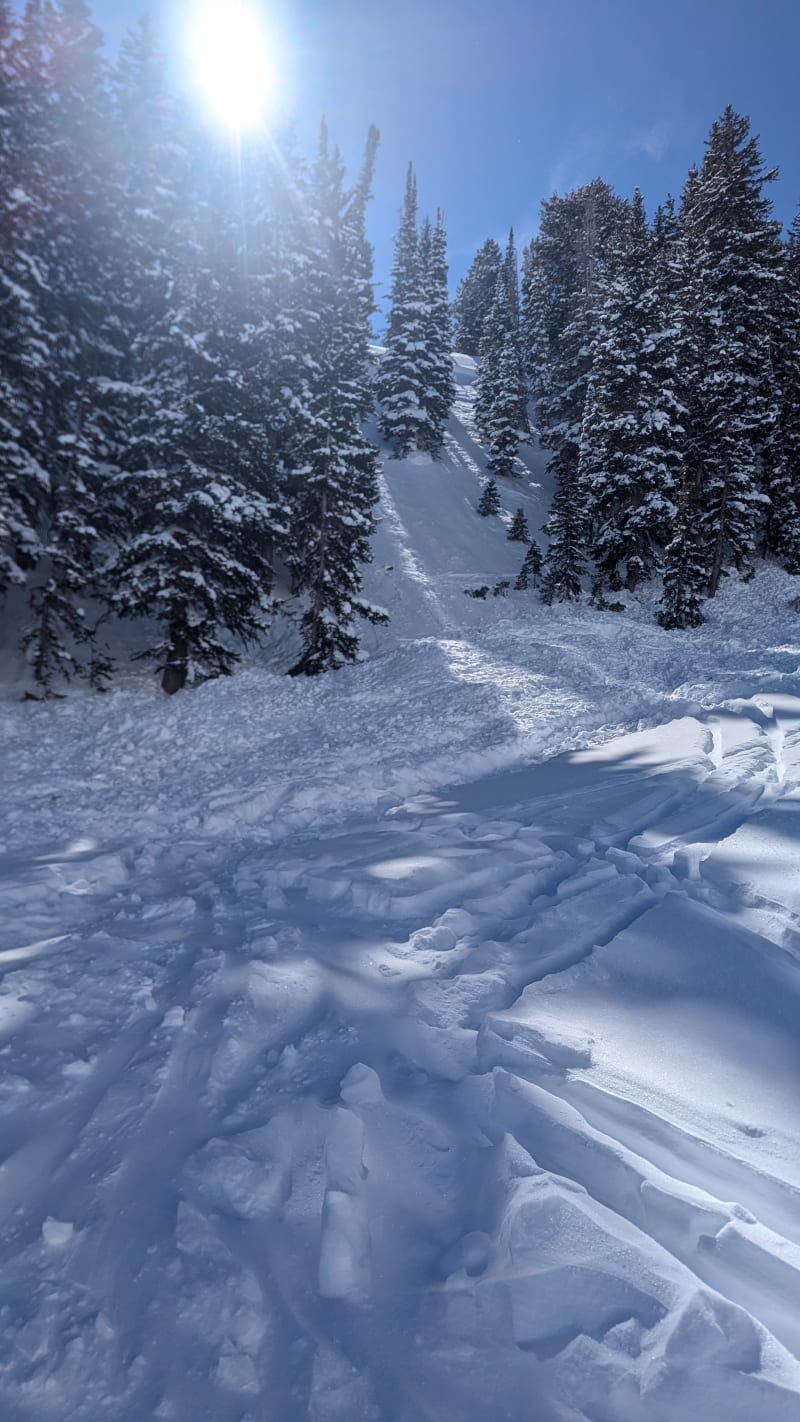 ER Doctor Helps Rescue Two Skiers in Utah Avalanche - Image 2