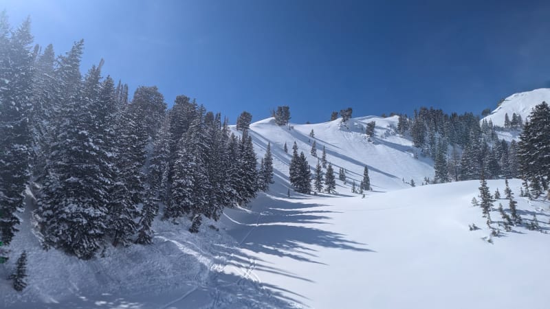 ER Doctor Helps Rescue Two Skiers in Utah Avalanche - Image 5