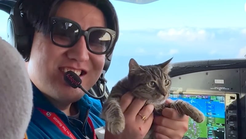 Producer Conquers Fear of Flying, Saves 58 Shelter Pets