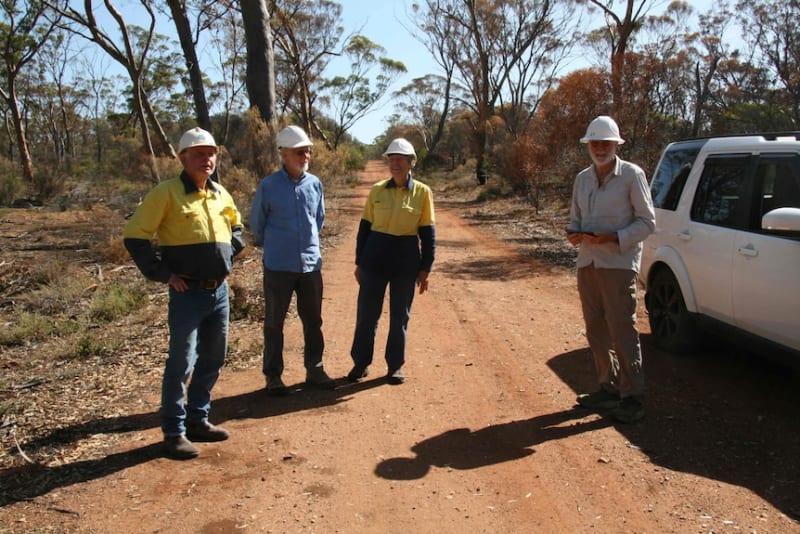 Endangered Cockatoos Get New Homes After Australia Fires - Image 5