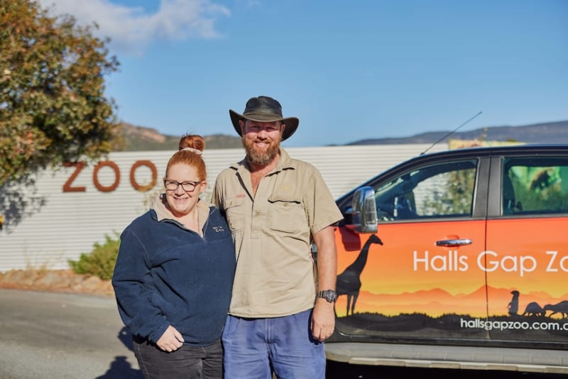 Halls Gap Rebuilds Tourism After Back-to-Back Bushfires - Image 3