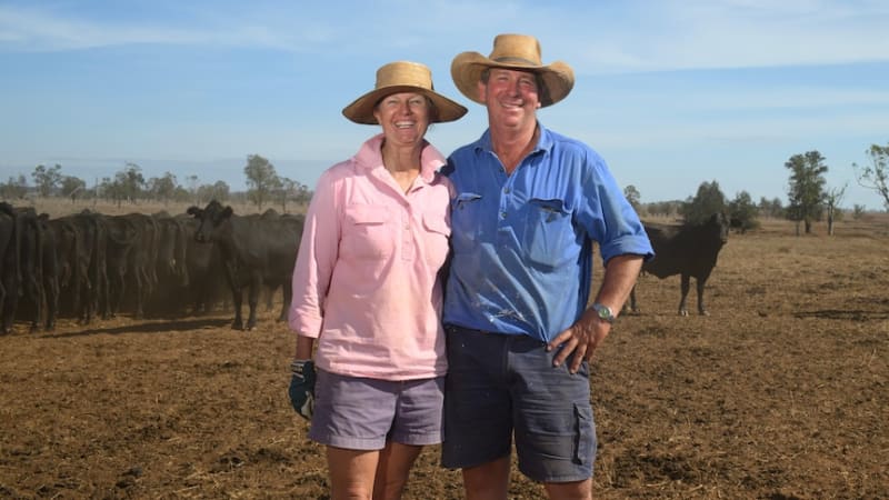 Queensland Rain Brings Relief After Months of Drought - Image 2