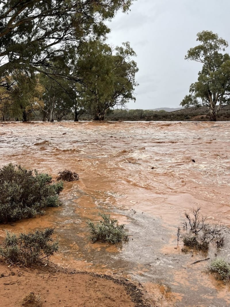 Outback Australia: 60mm Rain Ends Years-Long Drought - Image 4