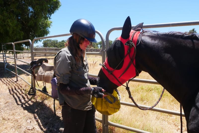 Woman and Wild Brumby Cross Australia in 8-Month Journey - Image 4