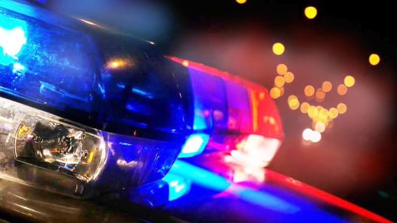 Hobart Bystanders Stop Carjacking, Save Mom and Two Kids - Image 2