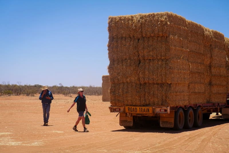 Farmers Drive 1,700km With Free Hay for Drought-Hit Ranchers - Image 5