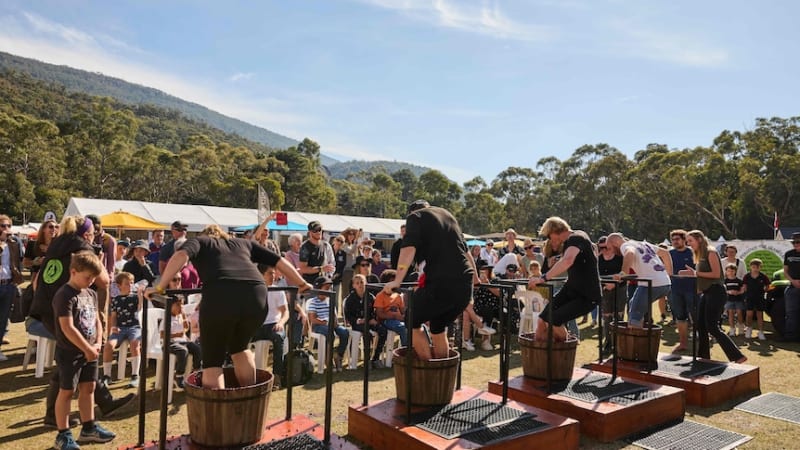 Halls Gap Rebuilds Tourism After Back-to-Back Bushfires - Image 2