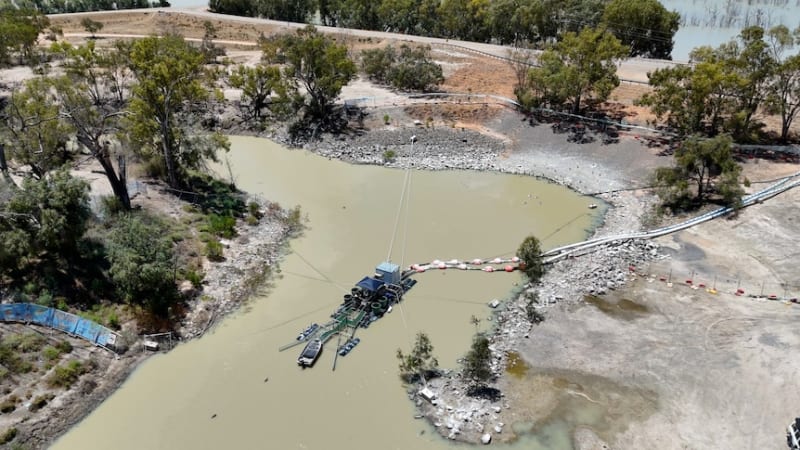 AI Fish Passage Moves 10,000 Fish in Australia Trial - Image 2