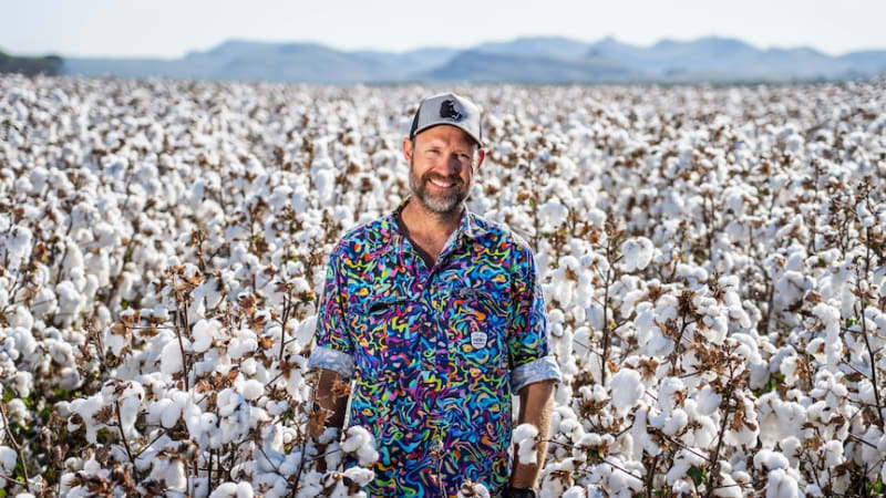 Kimberley Cotton Gin Processes 81,000 Bales in First Season - Image 2