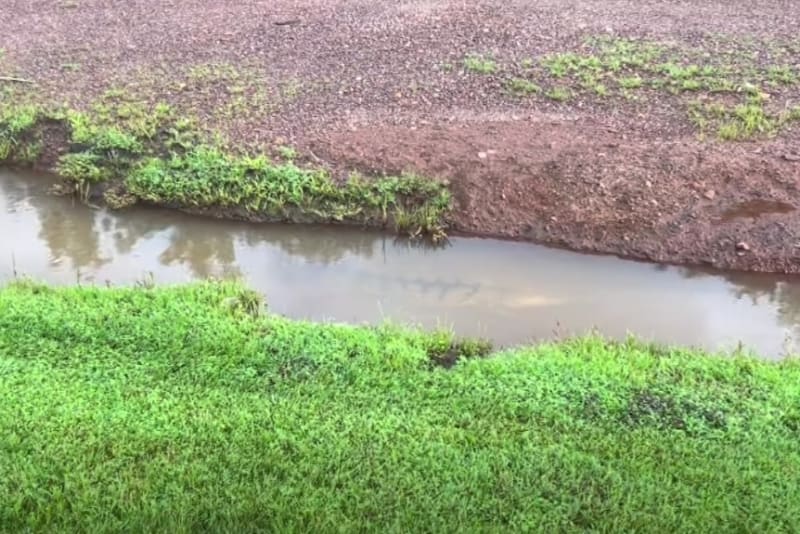 NT Mum Jumps In to Wrangle Croc Outside Bottle Shop - Image 4