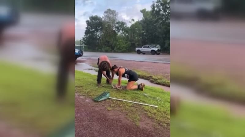 NT Mum Jumps In to Wrangle Croc Outside Bottle Shop - Image 3