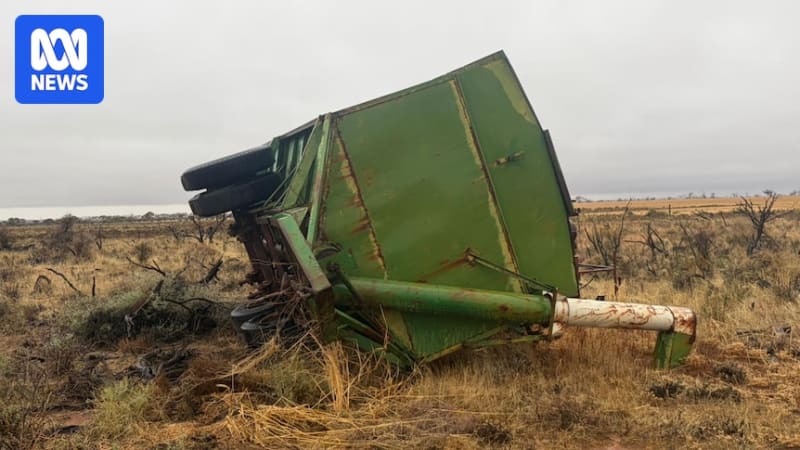 WA Farmers Welcome 100mm Rain After Cyclone Damage