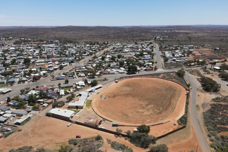 Broken Hill Greyhounds Get Second Chance as Pets - Image 3