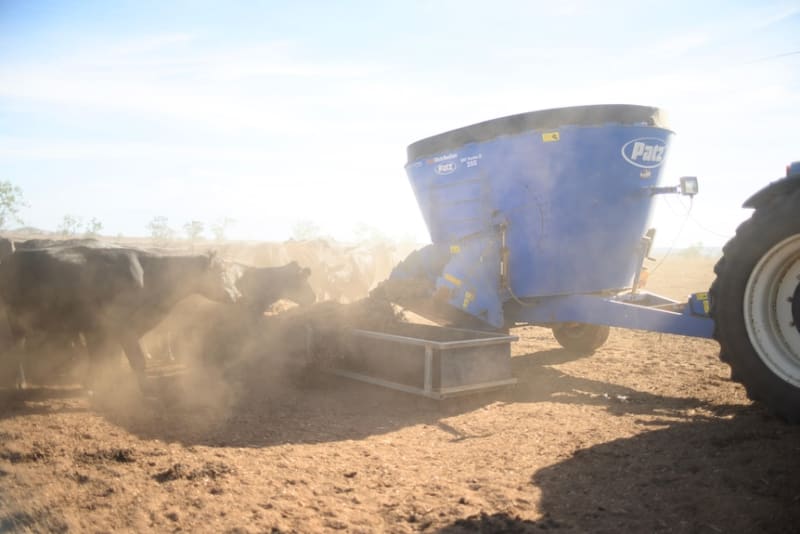 Queensland Rain Brings Relief After Months of Drought - Image 4