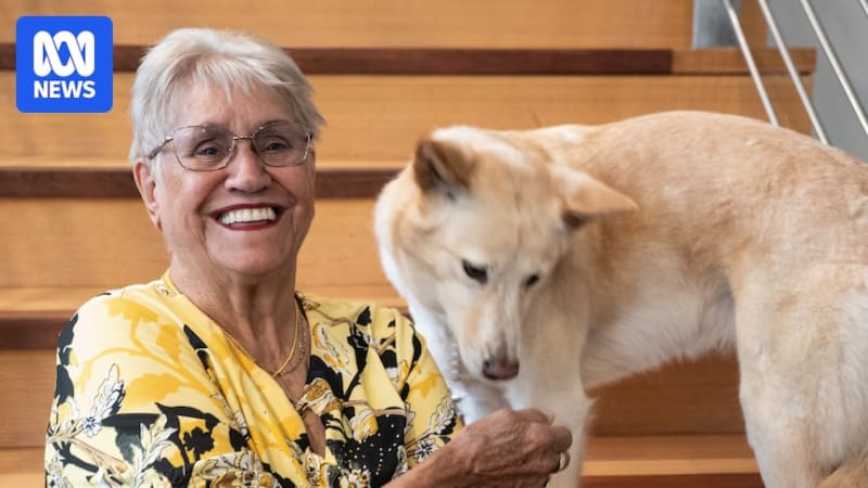 Western Australia Moves to Protect Native Dingoes