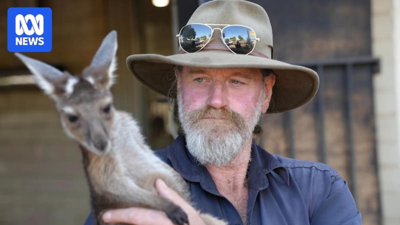 Mining Town's 'Underground' Joey Carer Saves Orphaned Roos
