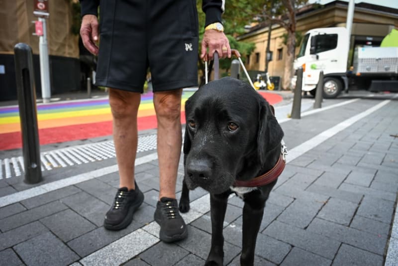 Blind Man and Guide Dog Pretzel March in Sydney Mardi Gras - Image 5