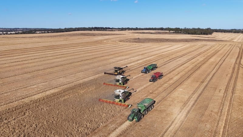Western Australia Smashes Grain Harvest Record by 2M Tonnes - Image 2