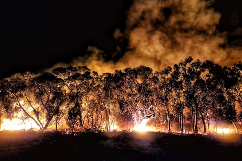 Halls Gap Rebuilds Tourism After Back-to-Back Bushfires - Image 5