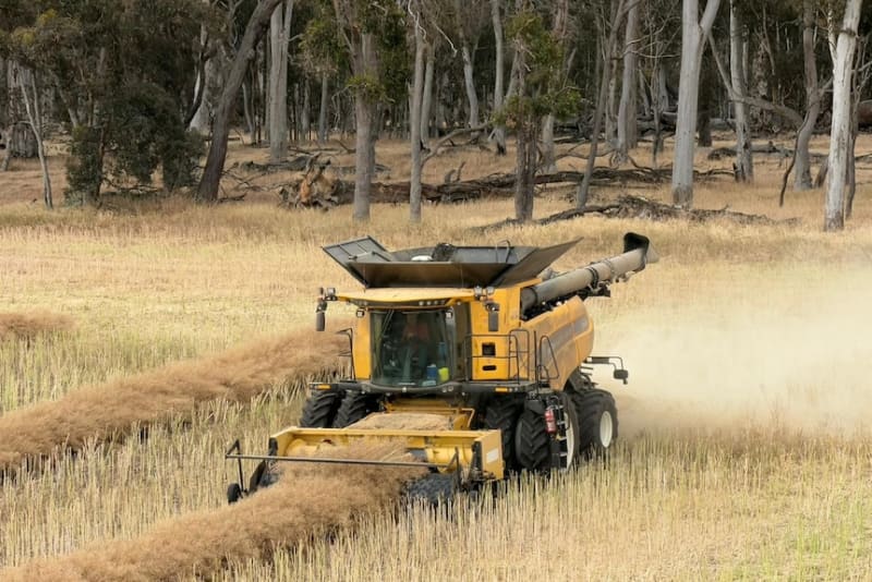 Western Australia Smashes Grain Harvest Record by 2M Tonnes - Image 3