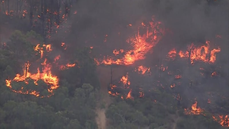 Perth Firefighters Save 100+ Homes From Hills Bushfire - Image 3