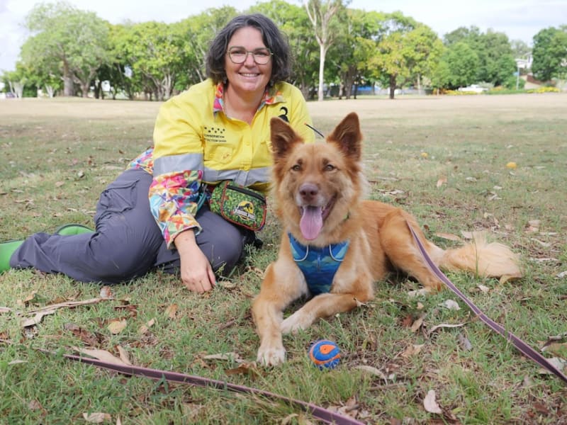 Rescue Dog Leo Now Saves Australian Koalas - Image 3