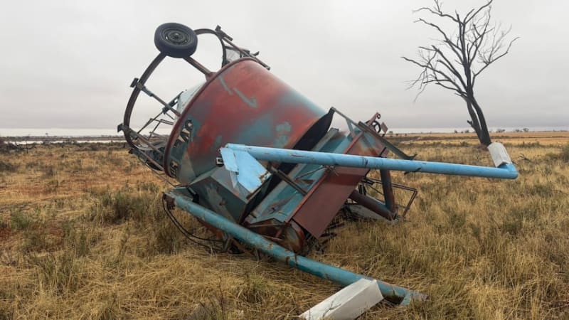 WA Farmers Welcome 100mm Rain After Cyclone Damage - Image 3