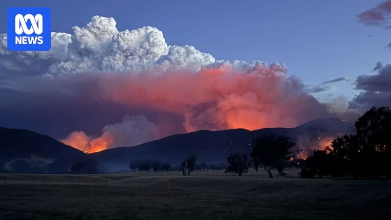 Victoria Gets $160M Boost for Bushfire Recovery