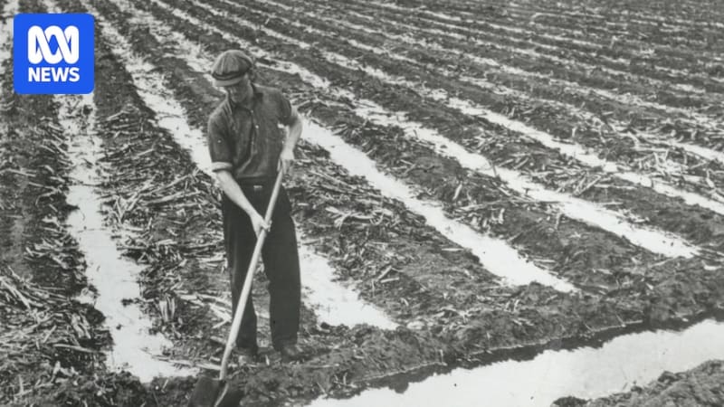 Queensland Cane Farmers Mark 100 Years of Fair Play