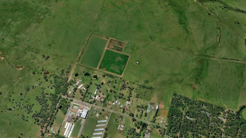 Old Abattoir Ponds Become Accidental Wildlife Haven - Image 3