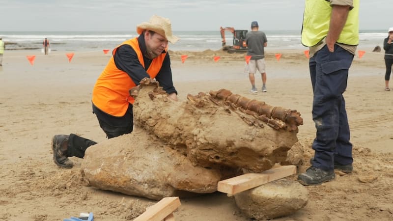 21-Million-Year-Old Whale Fossil Found on Victorian Beach - Image 2