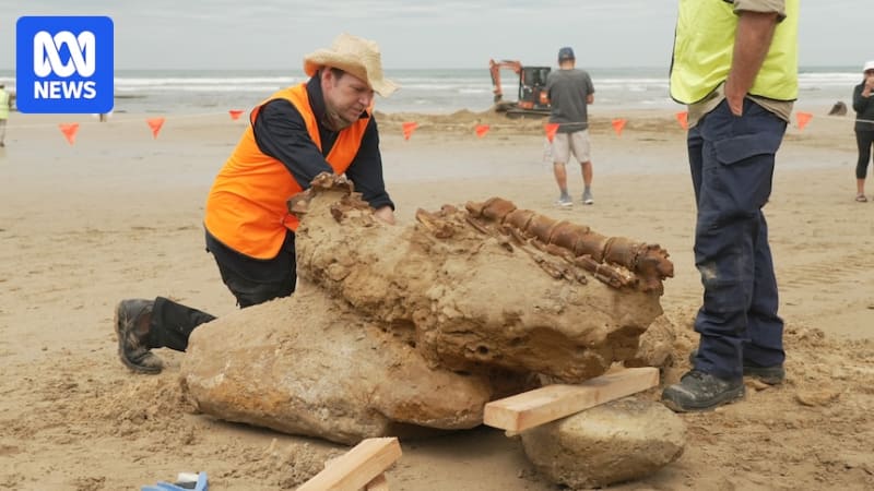 21-Million-Year-Old Whale Fossil Found on Victorian Beach