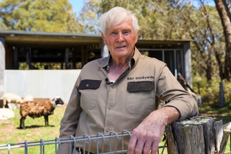 83-Year-Old Farmer Creates New Sheep Breed by Accident - Image 4