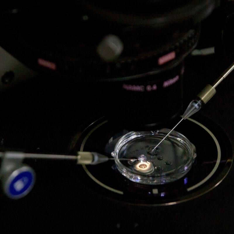 Australian AI Cuts Gene Editing Risks for Cystic Fibrosis - Image 2