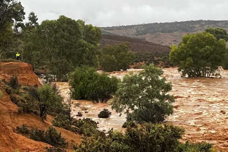 Outback Australia: 60mm Rain Ends Years-Long Drought - Image 3
