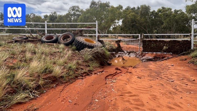 NT Cattle Stations Rally After Historic Floods Hit Outback