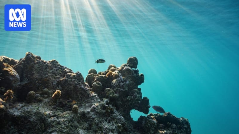 Historic Ocean Protection Treaty Now in Effect Worldwide