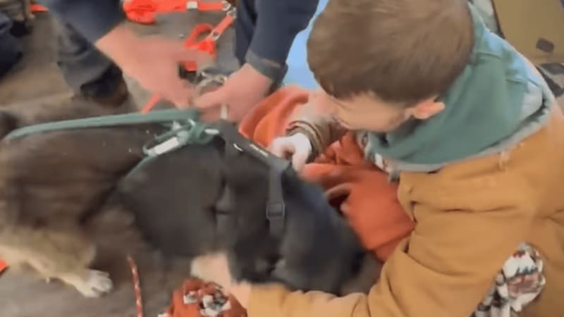 Firefighters Rescue Dog from 24-Foot Well in Ohio