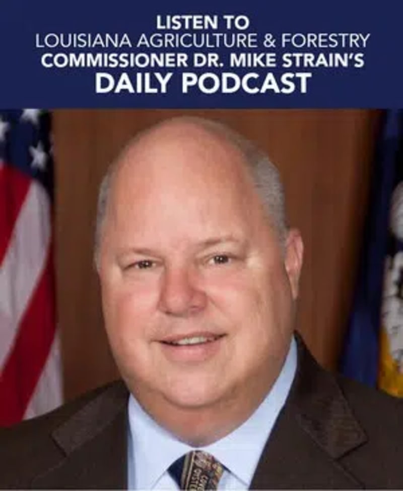 Louisiana Red Cross Needs Volunteers After Ice Storm