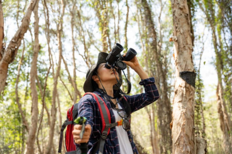 Birdwatching Sharpens Your Brain at Any Age, Study Finds - Image 3