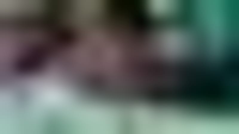 Firefighter Adopts Puppy He Saved From Fatal House Fire - Image 4