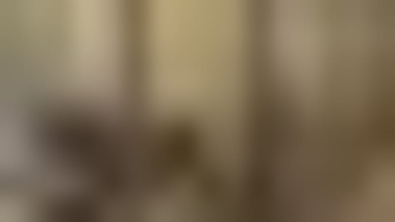 Georgia Volunteers Race to Save 19 Shelter Dogs by Friday - Image 2