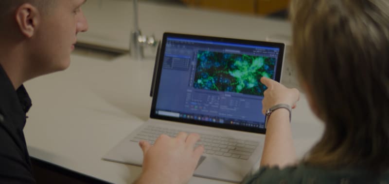 Flickering Lights May Slow Alzheimer's in 700-Patient Trial - Image 4
