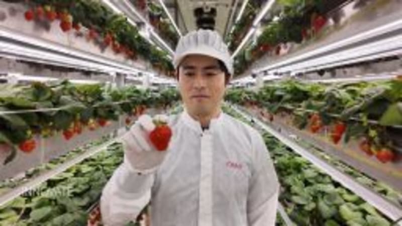 Brooklyn Startup's Air Conditioner Ditches Harmful Gases - Image 4